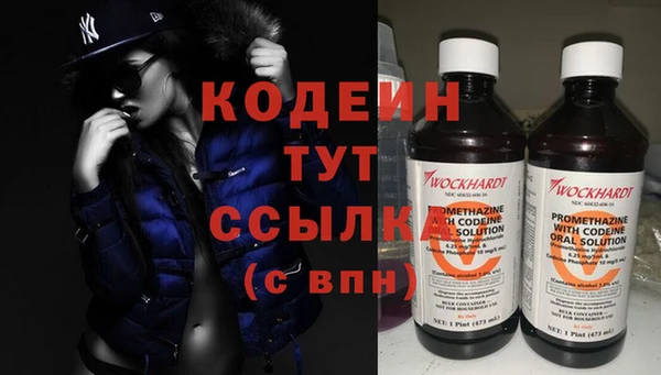 СК Ельня
