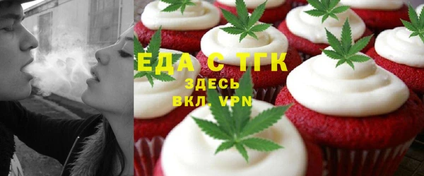 СК Ельня