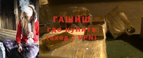 СК Ельня