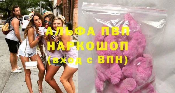 СК Ельня