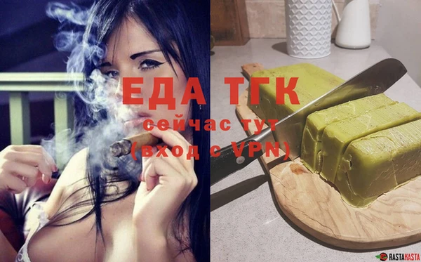 СК Ельня