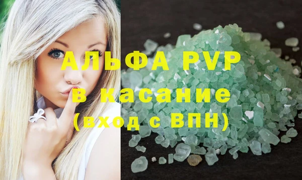 СК Ельня