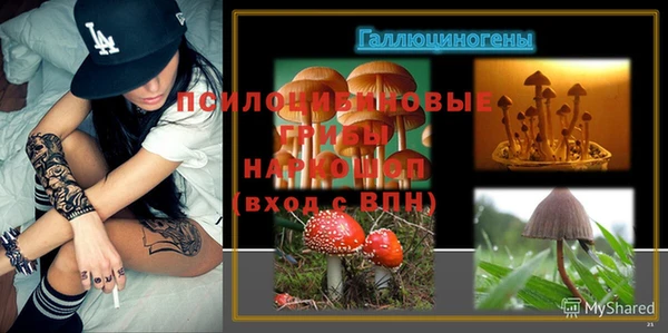 mdpv Нязепетровск
