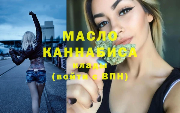 СК Ельня